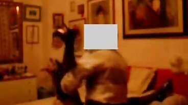 MYLF - مفلس طراز كوغار يحصل مواقع افلام سكسي مارس الجنس بواسطة لها اللياقة البدنية المدرب